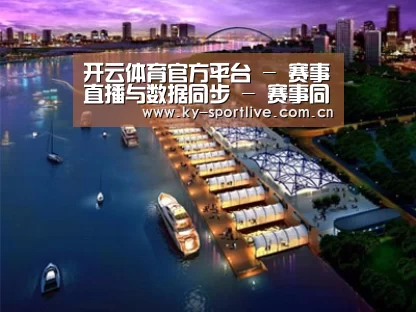 案例展示八