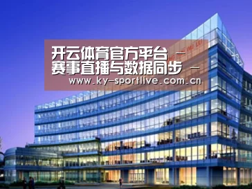 案例展示五