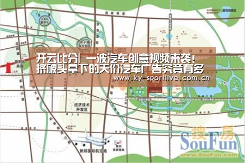 开云比分