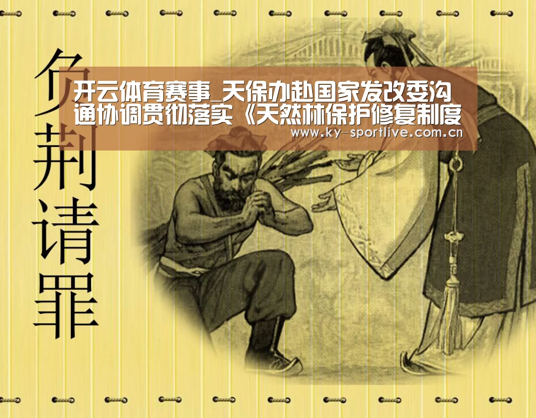 开云体育赛事_天保办赴国家发改委沟通协调贯彻落实《天然林保护修复制度方案》相关工作(图3) 开云体育赛事