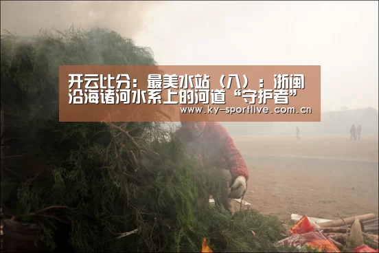开云比分