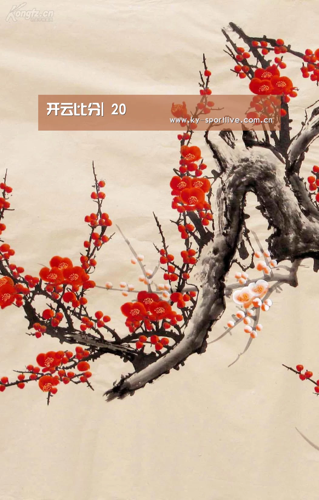 开云体育赛事