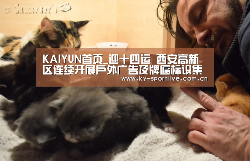 KAIYUN首页_迎十四运 西安高新区连续开展户外广告及牌匾标识集中整治行动(图1) 开云体育赛事